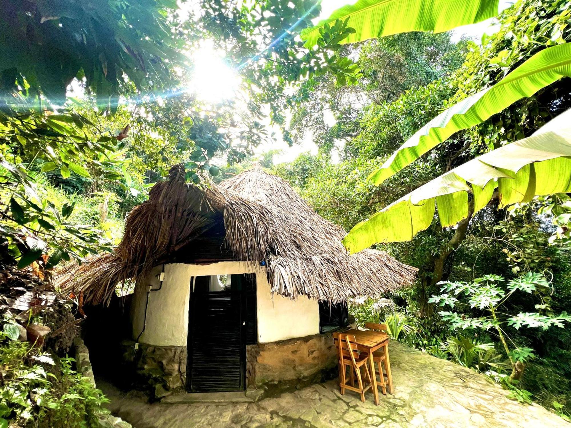 Puerto Alto Hotel Buritaca Ngoại thất bức ảnh